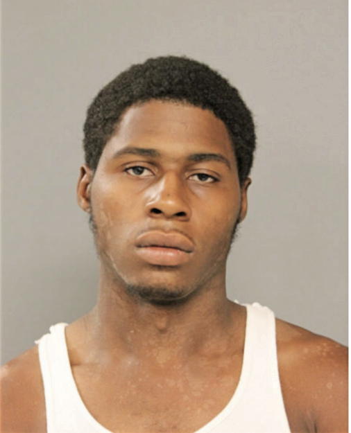 ANDRE N HEARD, Cook County, Illinois
