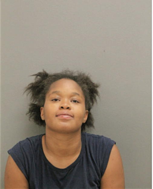 ERIKKA LAYLA JOHNSON, Cook County, Illinois