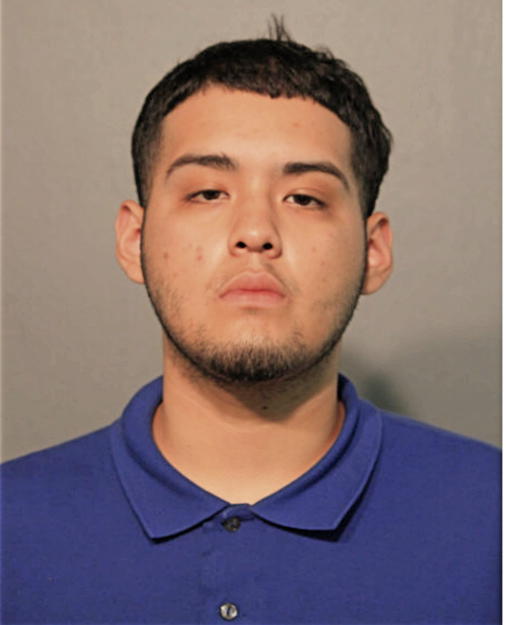ISAAC LAGUNAS, Cook County, Illinois