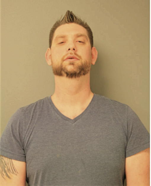 GREGORY D LEWIS, Cook County, Illinois
