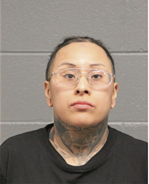 JESSICA MENA, Cook County, Illinois