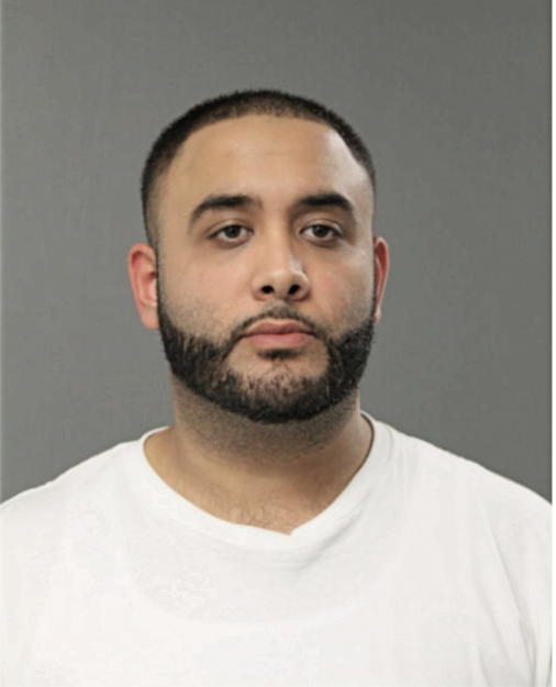 TAMER M NOUFEL, Cook County, Illinois