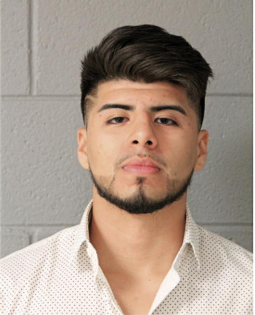 ADOLFO GONZALEZ PANTOJA, Cook County, Illinois