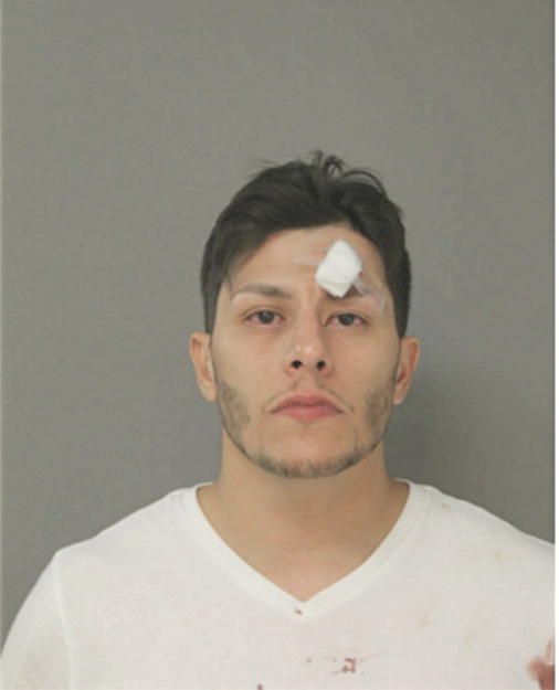 CARLOS ROA, Cook County, Illinois