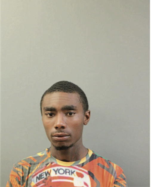 MAURICE L ROBINSON, Cook County, Illinois