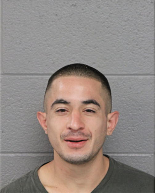 JUAN SANCHES, Cook County, Illinois