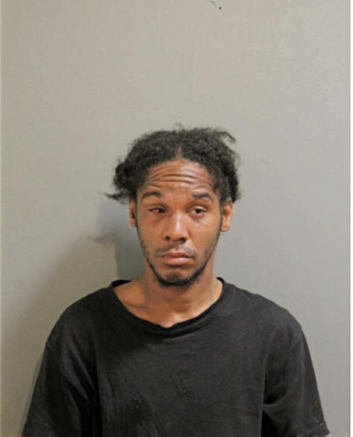 TYRONE L STRICKLAND, Cook County, Illinois