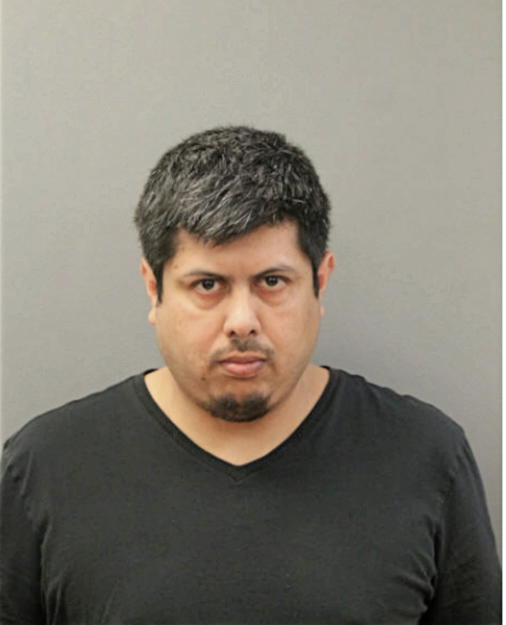 NELTER BARRERA, Cook County, Illinois