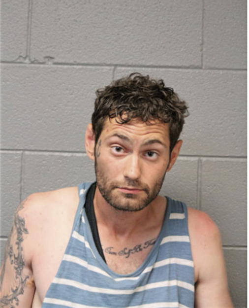 STEVEN A BERKLEY, Cook County, Illinois
