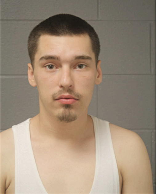 DILLON J BUDZYN, Cook County, Illinois