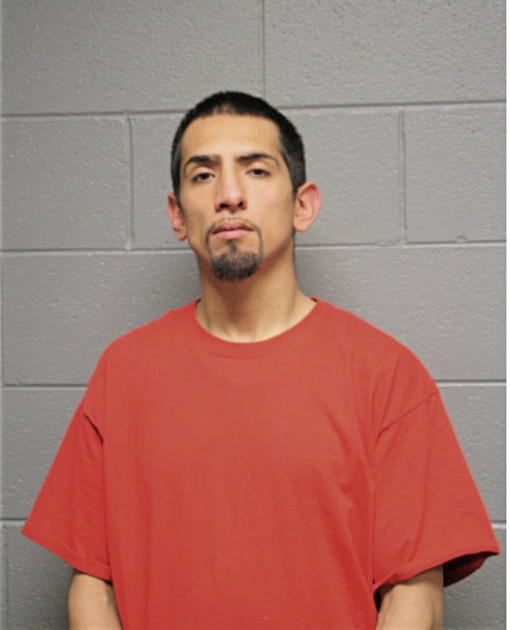 JORGE G CORTEZ, Cook County, Illinois