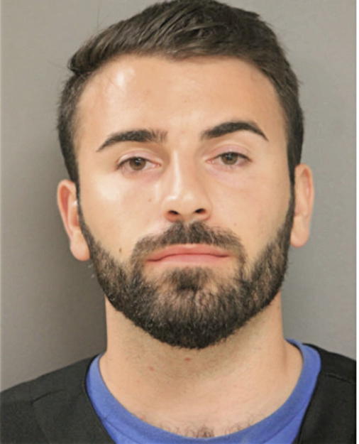 MICHAEL A DE SIMONE, Cook County, Illinois