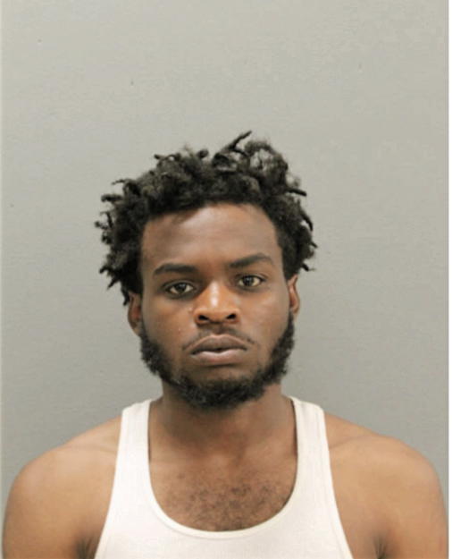 STEVEN F BROWN, Cook County, Illinois