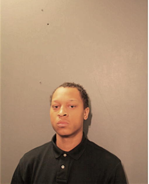 TROVAUGHN D GARDNER, Cook County, Illinois