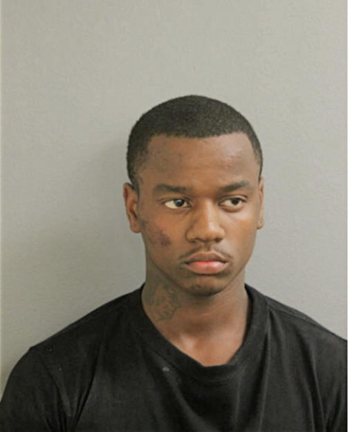 DEVIN T GARRETT, Cook County, Illinois