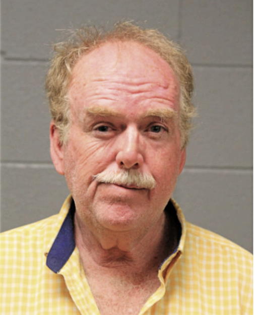 BRIAN P GIBBONS, Cook County, Illinois