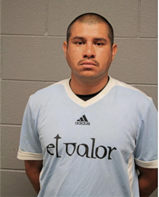 ENRIQUE GONZALEZ, Cook County, Illinois