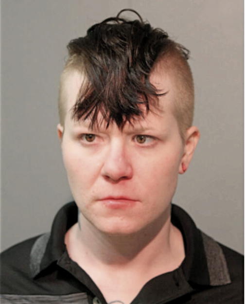 SARA L HAGEMEYER, Cook County, Illinois