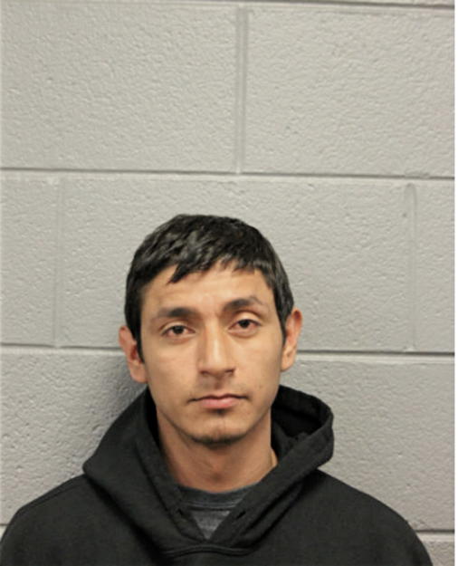 ALFREDO HERNANDEZ, Cook County, Illinois