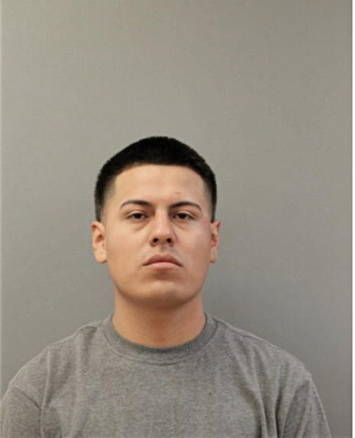 DANIEL GONZALEZ- HERNANDEZ, Cook County, Illinois