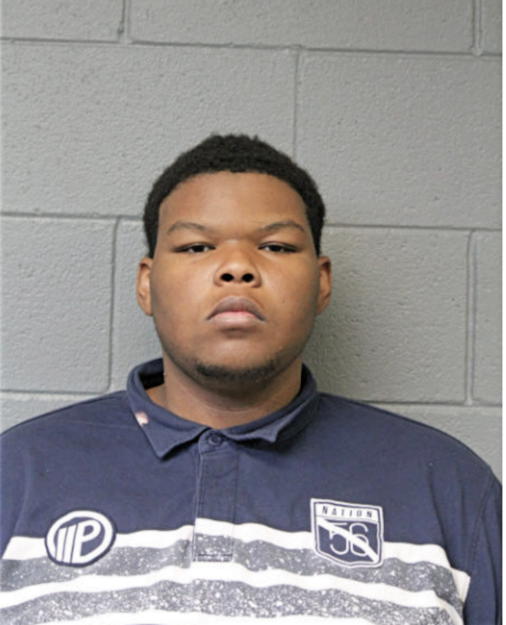 BRANDON K KINDER, Cook County, Illinois