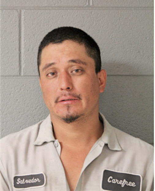 JUAN L MARTINEZ, Cook County, Illinois