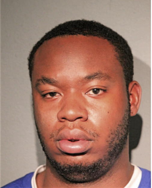 JAMELLE J MCBRIDE, Cook County, Illinois