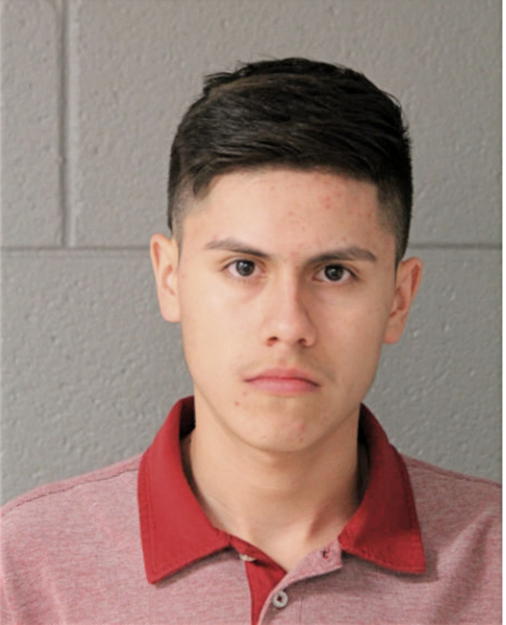 IRVIN OMAR MONTANEZ, Cook County, Illinois