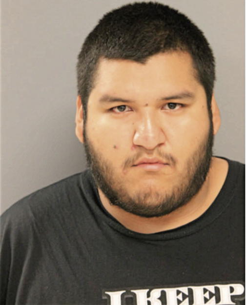JERONIMO PALAFOX, Cook County, Illinois