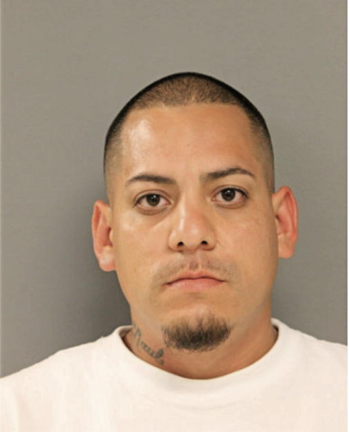 MARIO PICENO, Cook County, Illinois