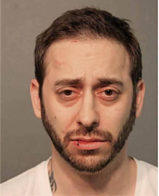 ALEXANDER J POZNIAK, Cook County, Illinois