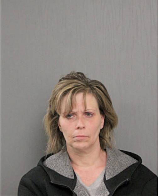 KIMBERLY E SCHMITZ, Cook County, Illinois