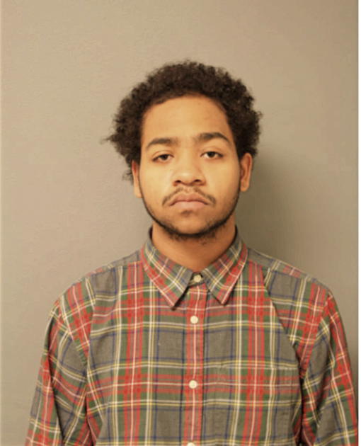 NATHANIEL R SMITH, Cook County, Illinois