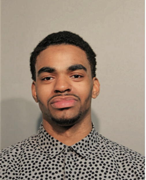 MICHAEL M STEVENS, Cook County, Illinois