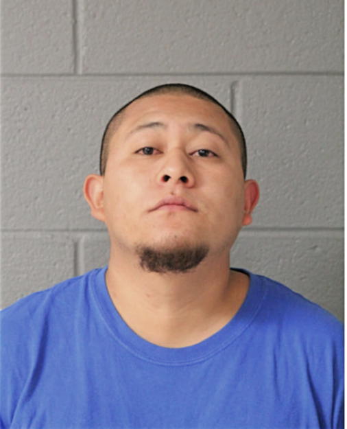 AUDIEL TOLENTINO, Cook County, Illinois