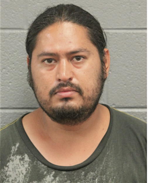 JOSE D TORRES, Cook County, Illinois
