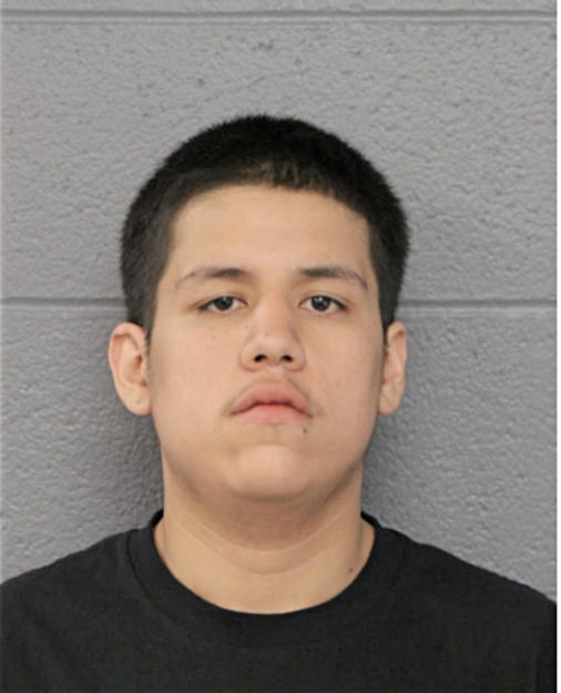 PEDRO E TORRES, Cook County, Illinois