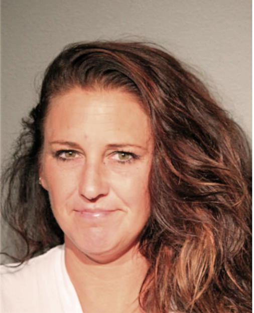 RACHEL J VOGELSONG, Cook County, Illinois