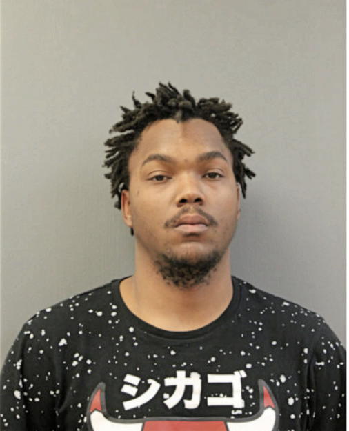 MARTIN J WILSON, Cook County, Illinois