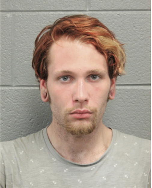 NICHOLAS E ADAMS, Cook County, Illinois