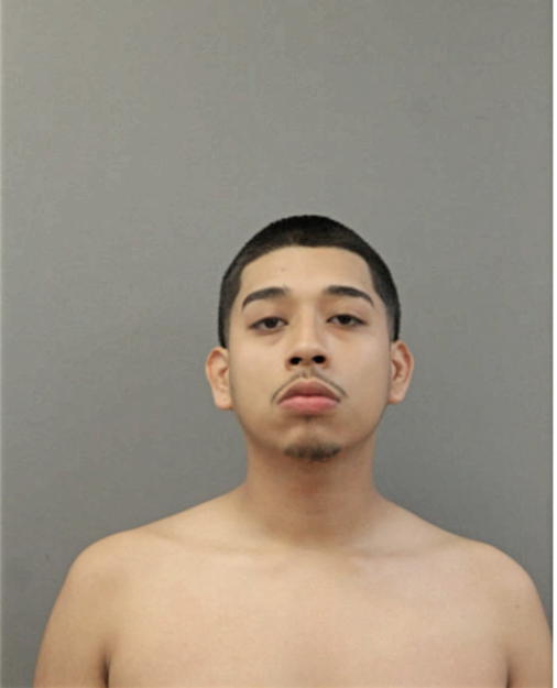 JALID G ALCOCER-MENDEZ, Cook County, Illinois