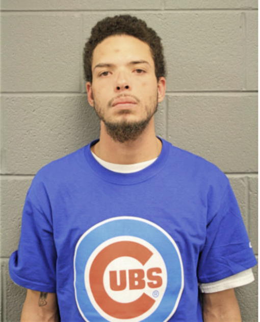 MARK B BYNUM, Cook County, Illinois