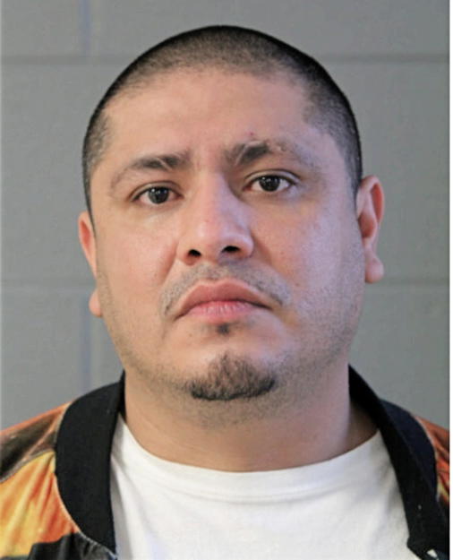 CHRISTIAN CAMARENA, Cook County, Illinois