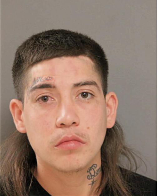 ERICK FLORES, Cook County, Illinois