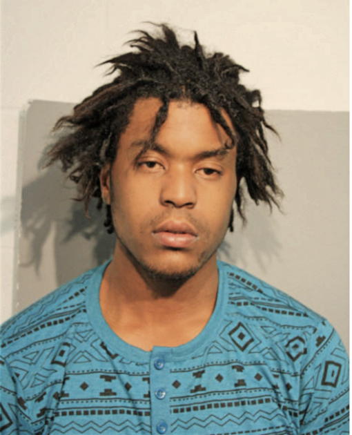 CHRISTIAN T HARDISON, Cook County, Illinois