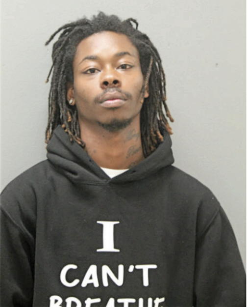 DAVID HAYES, Cook County, Illinois