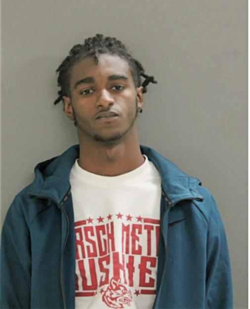 COREY T HOLMES, Cook County, Illinois