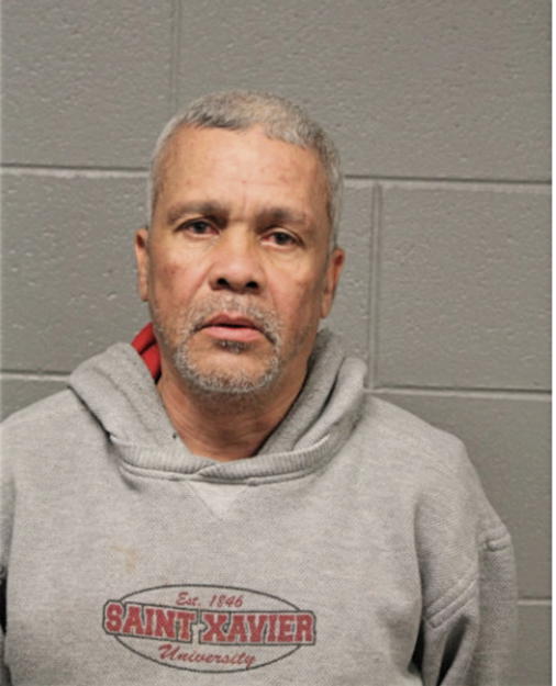 STEVEN L IRVING, Cook County, Illinois