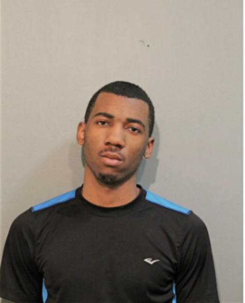 CLARENCE J JOHNSON, Cook County, Illinois