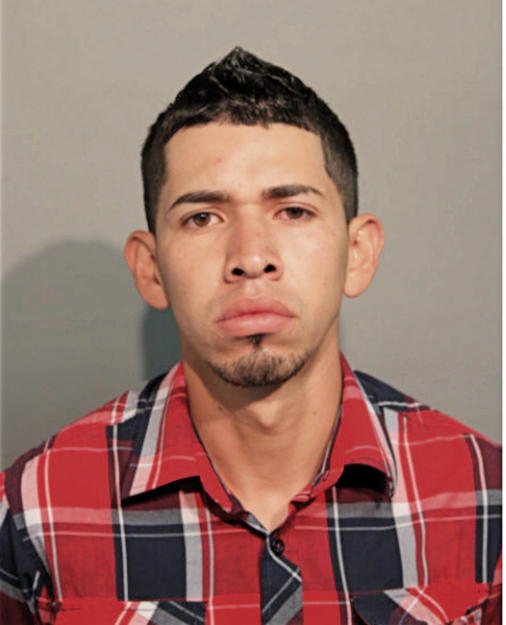 ALDO H LOPEZ, Cook County, Illinois